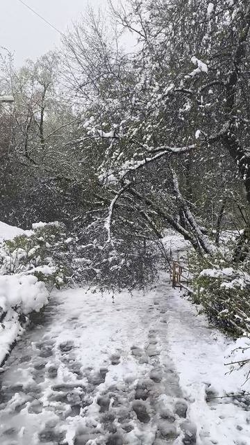 Апрельский Снегопад
