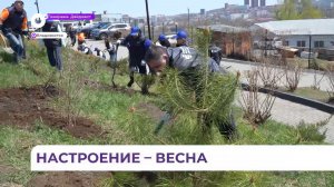 Во Владивостоке в сквере Рыбацкой Славы появились молодые пихты и сирень