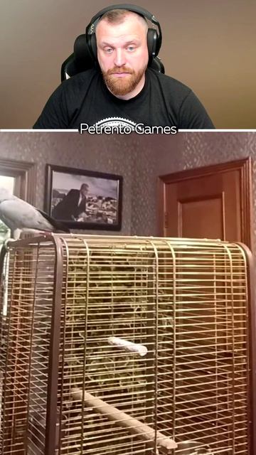 Петренто попугай