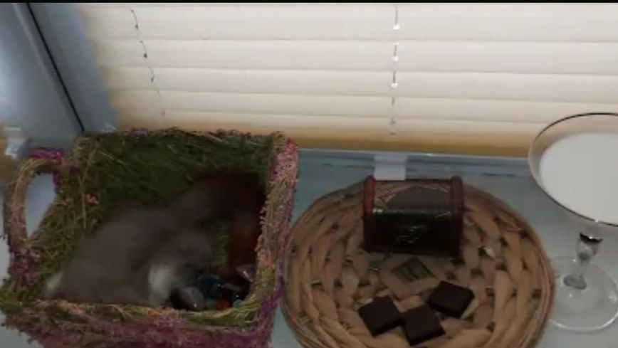 УГОЛОК МОЕГО ДОМОВОГО