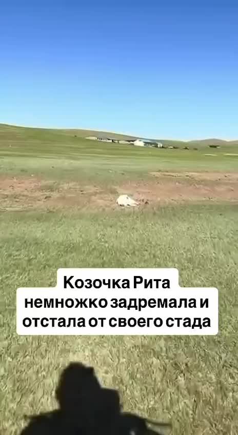 Когда пропустила будильник