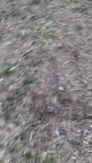 2 часть плотина