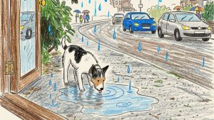 Дождь - перкуссионист ( Игорь Брыков )