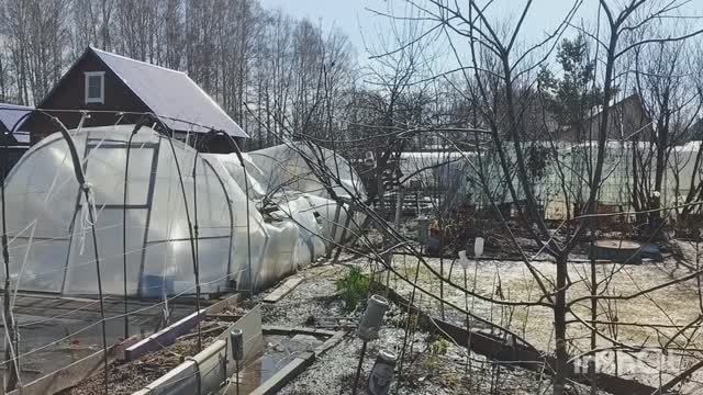 Приехала на дачу с ночевой. Привезла рассаду. Солнце светит