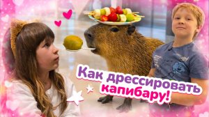 Шоколадное фондю вместо разбитой пасты! Карл учит капибару трюкам, а Бьянка готовит сладости 😋🍓