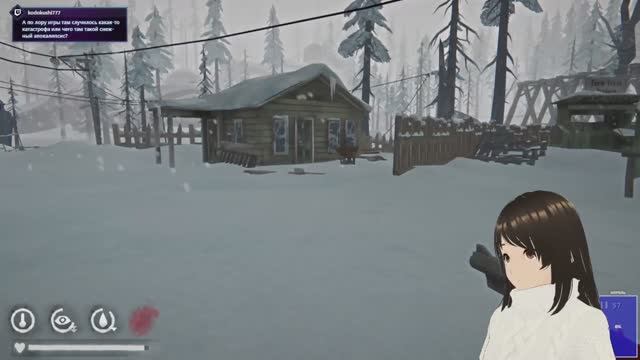 #6 The Long Dark / Выживание "Сталкер"