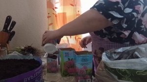 Дела огородные.