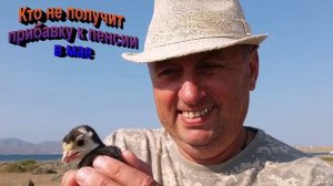 Кто не получит прибавку к пенсии в мае