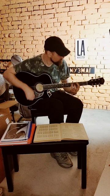 Как звучит электроакустическая гитара Elitaro E4050 EQ BK