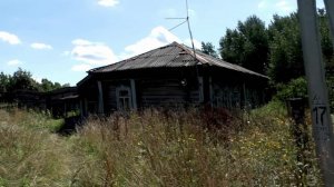 Звук природы. Пение Красно-чёрной пиранги утром в деревне