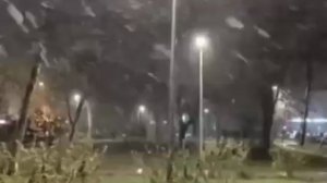 Апрельская метель в Кунцево. Столичный регион переходит в зимний режим минимум до среды.