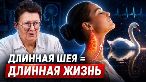 2 года работы — и шея как у лебедя. Врач показывает, как растянуть шею и забыть про мигрени