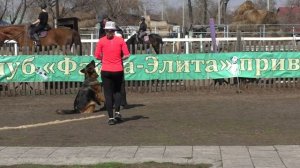 ГЕРА С САЯНСКИХ ГОР