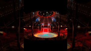 Приключение топикса и его друга флоппы испытание в цирке