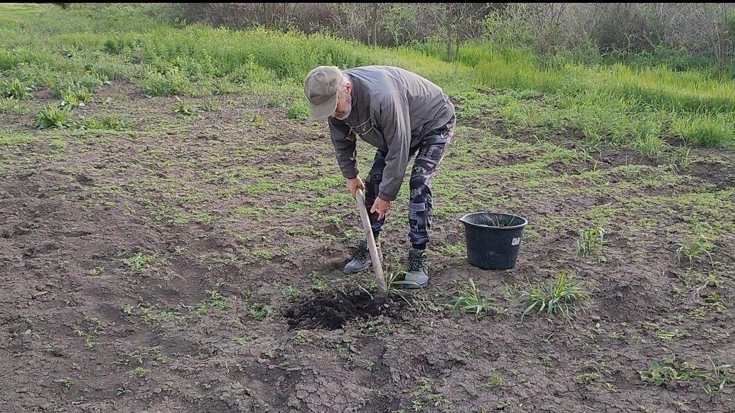 Жизнь станичная на пенсии.