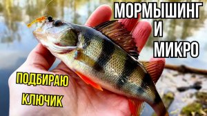 Мормышинг или микроджиг? Ищу ключик в капризную погоду.Олта Колибри и Dayo Prestige 800