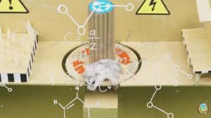 Испытание «Заколдованный лабиринт» — Хомячки в деле! часть 3