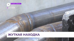 Жуткую находку обнаружили на улице Сипягина во Владивостоке