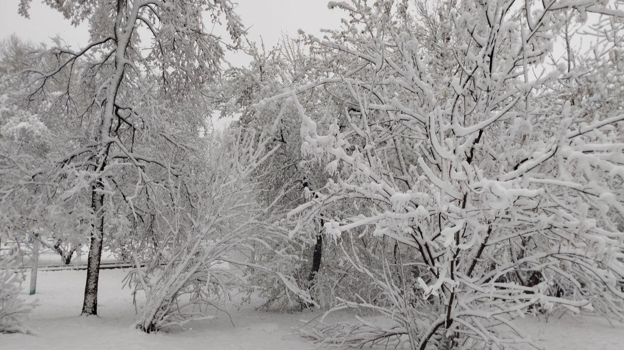 27 АПРЕЛЯ / МОСКВУ ЗАМЕТАЕТ