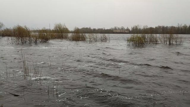 Волны от ветра р.Ока.27апреля2026г.