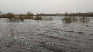 Волны от ветра р.Ока.27апреля2026г.