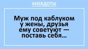 Муж под каблуком у жены, друзья ему советуют — поставь себя... | Анекдоты смешные | Юмор