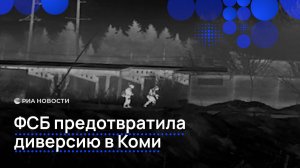 ФСБ предотвратила диверсию в Коми