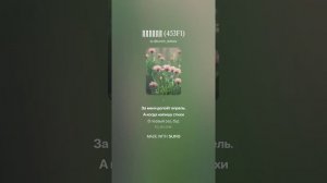 Suno (Feat. Алексей Коротин) - Апрель (453F1)