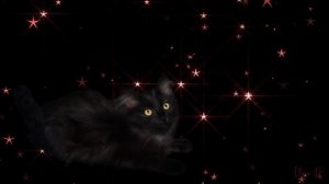 Звезд хоровод