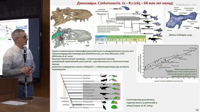 Журавлев А.Ю. - Основы палеонтологии - 9. Формирование наземных сообществ. Кайнофит