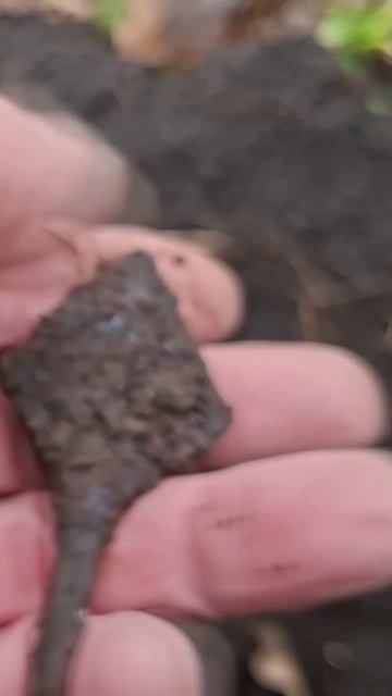 ДРЕВНЯТИНА ПОПЁРЛА в Тульском лесу!