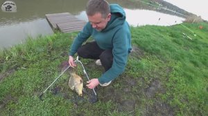 Неподъемный карп в садке! Спешим на помощь!