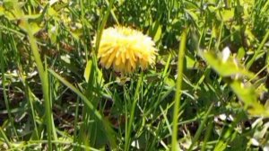 ИННА СУДАКОВА ХОДИТ НА ПЛЯЖ С ПОДПИСЧИКАМИ