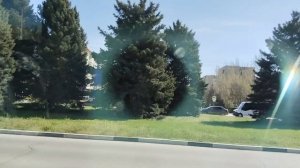 Дорога домой