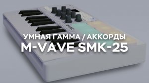 MIDI-клавиатура SMK-25 — Инструкция по умной гамме и аккордам