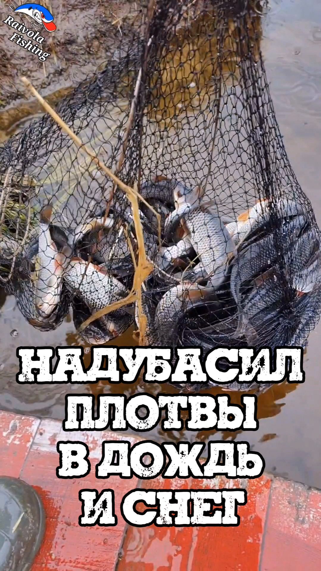 Надубасил плотвы на реке в дождь и снег