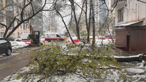 Сейчас 27.04.2026г., позор работы деятельности Главе управы района Хорошево-Мневники по г. Москве