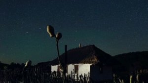 Baba Yaga - Ночь темна