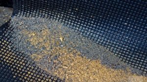 Намыл Золото в День рожденья!