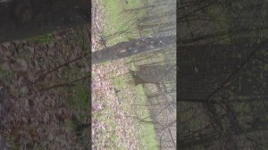 № 2 Внизу купель с родниковой водой