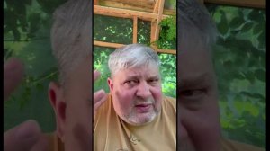 Я увидел во время поклонения 31.05