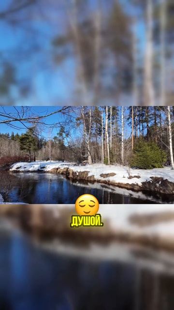 А вы хотели бы жить на берегу реки?