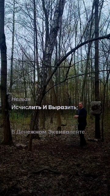 1049 477 F_X_K_0_692
Искусство; производит страшные вещи, которые часто со временем становятся краси