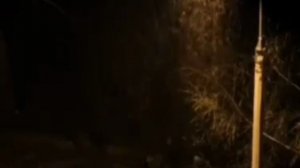 В Подмосковье пошел обещанный снег. Скоро циклон доберется до столицы.

Утепляемся и запасаемся терп