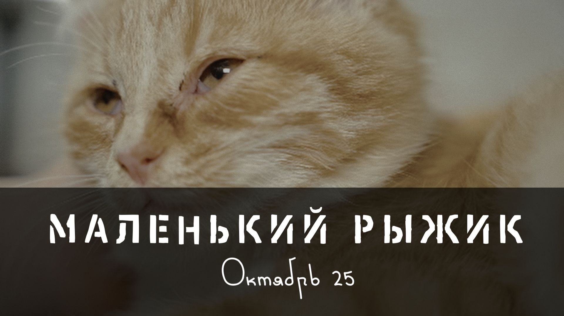 Маленький Рыжик