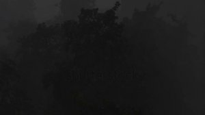 БЛЮЗ- МОЙ ВЕРНЫЙ ДРУГ!