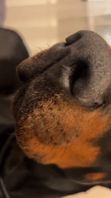 БОСС КРОВАТИ