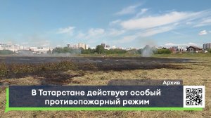 В Татарстане действует особый противопожарный режим