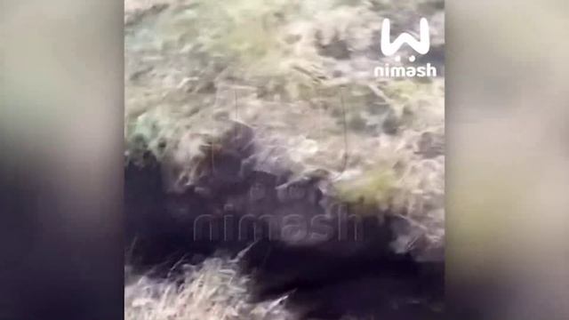 Оползень в Краснооктябрьском округе оставил без газа более сорока домов