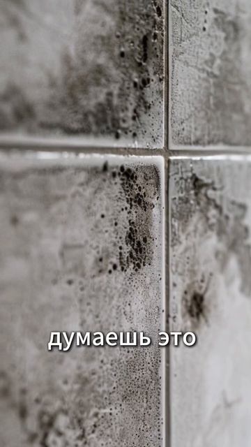 Больше подобных видео по ссылке в профиле 👉